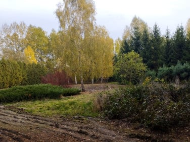 Działka budowlana Żelechów