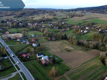 Działka Połomia