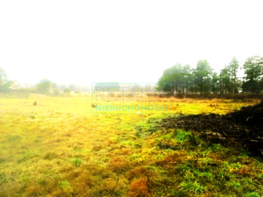 Działka Słubica Dobra