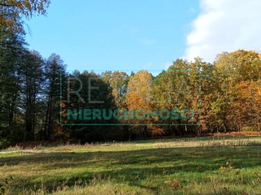 Działka Słubica Dobra