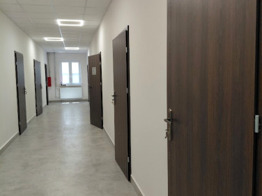 Lokal Krosno wynajem