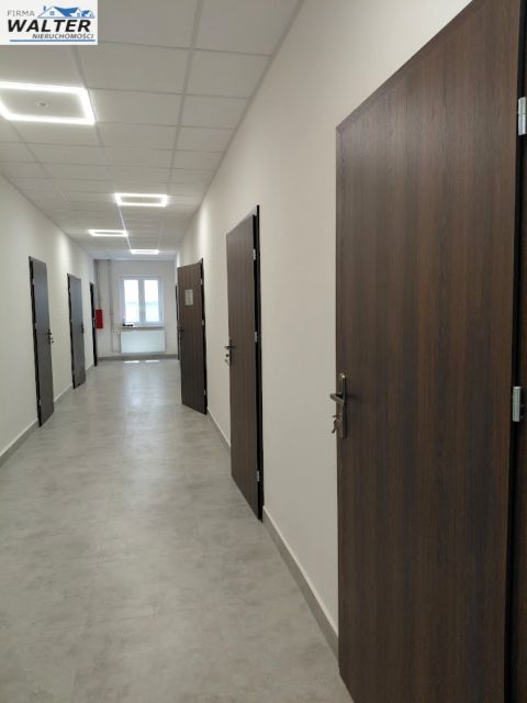 Lokal Krosno wynajem