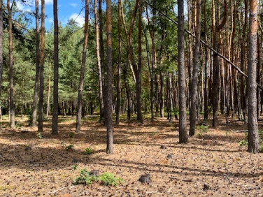 Działka budowlana Malcanów