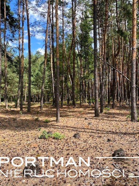 Działka budowlana Malcanów