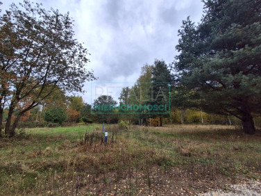 Działka budowlana Budy Zosine
