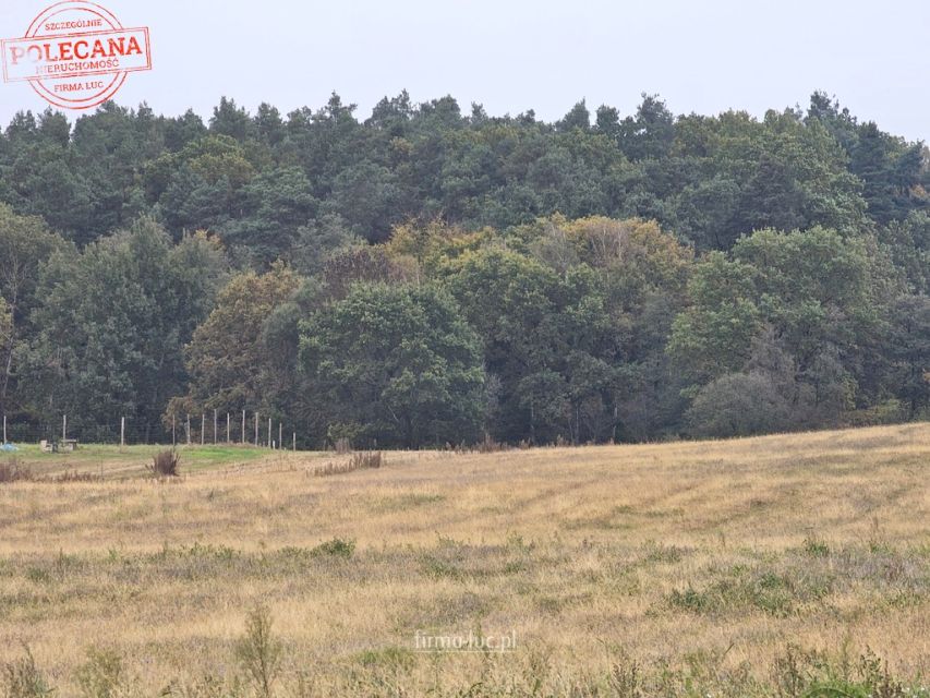 Działka budowlana Kłodawa