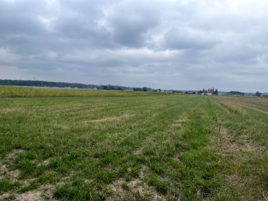 Działka inna Zdrój