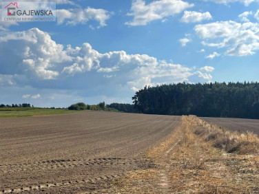 Działka budowlana Szydłowo