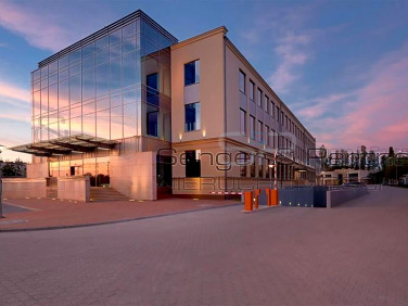 Lokal Poznań
