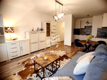 Mieszkanie Szczecin wynajem