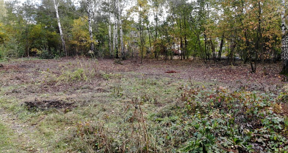 Zalesiona działka Żółwin