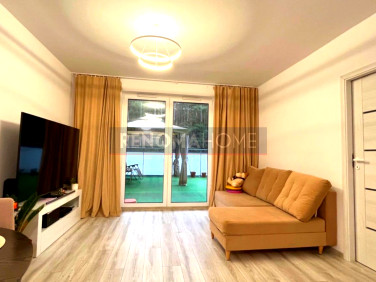 Mieszkanie Zielona Góra sprzedaż