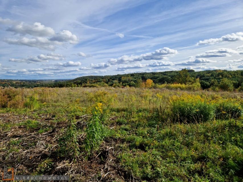 Działka Michałowice