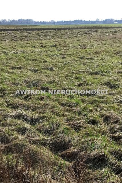 Działka budowlana Chyliczki