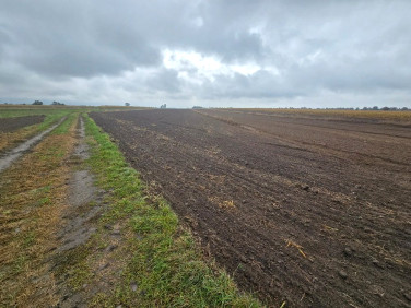 Działka rolna Piotrków Trybunalski
