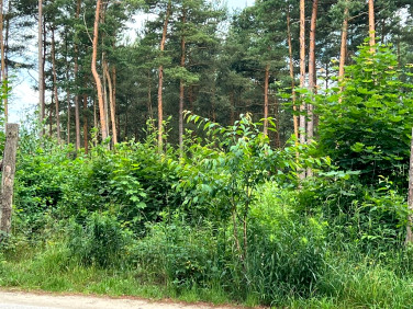 Ogrodzona działka sprzedam