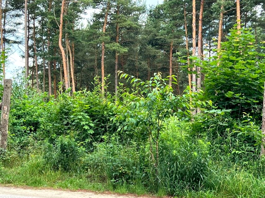 Ogrodzona działka sprzedam