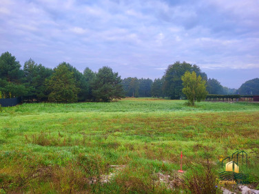 Działka budowlana Bolechowo-Osiedle