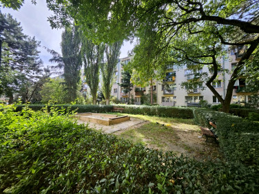 Mieszkanie Łódź
