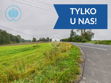 Działka usługowa Wielkie Pułkowo