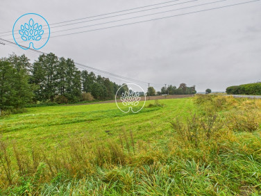 Działka usługowa Wielkie Pułkowo sprzedam