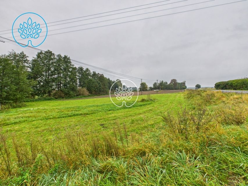 Działka usługowa Wielkie Pułkowo sprzedam