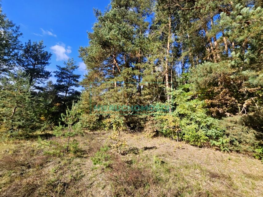 Działka Bieniewiec