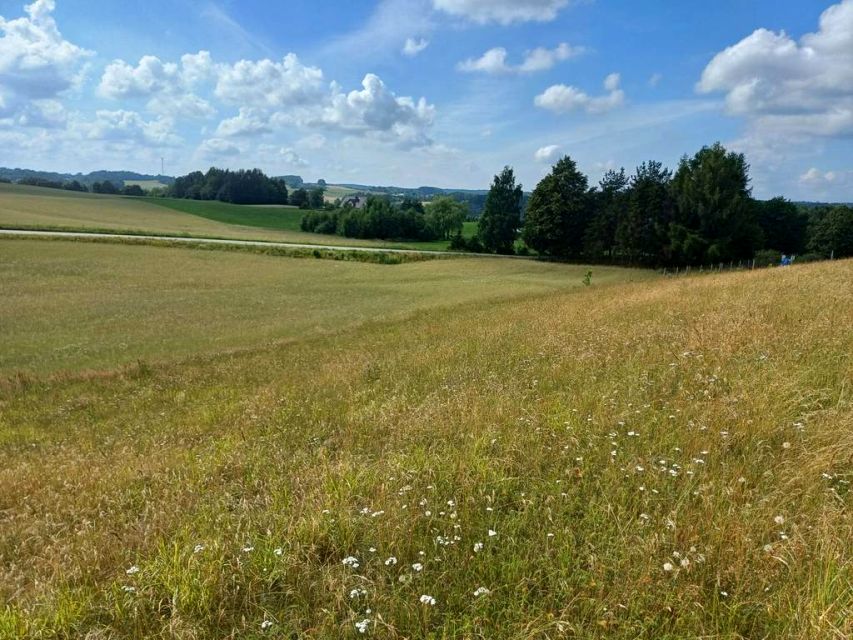 Działka budowlana Borzestowska Huta