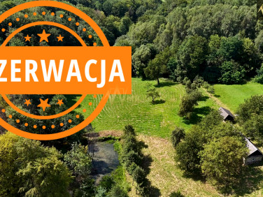 Działka Zalasowa