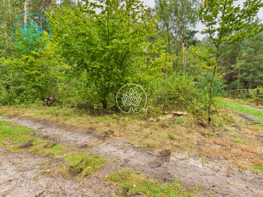 Działka inwestycyjna Kiełpiny sprzedam