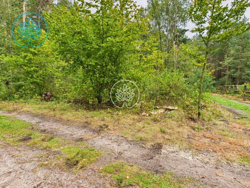 Działka inwestycyjna Kiełpiny sprzedam