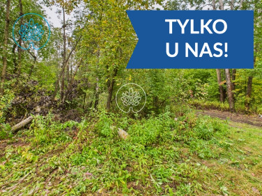 Działka inwestycyjna Kiełpiny