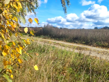 Działka Grabowo