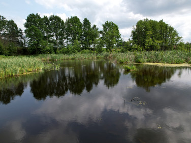 Działka Pinino