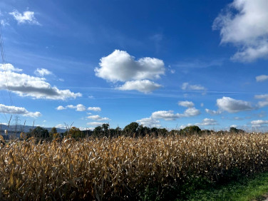 Działka budowlana Mazańcowice