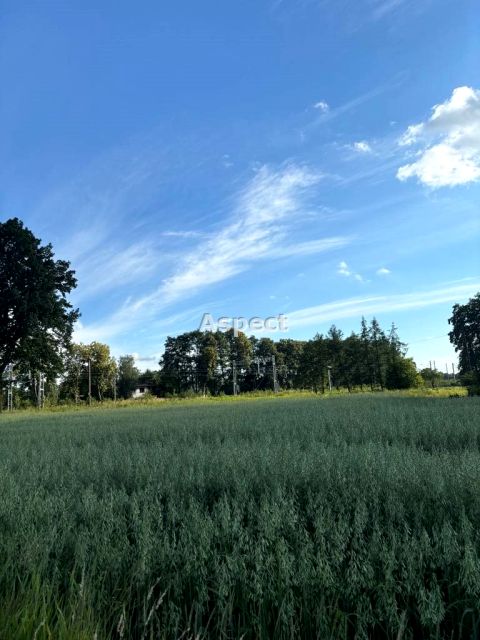 Pusta działka Mnich