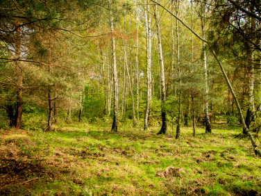 Działka budowlano-rolna Biadoliny Radłowskie