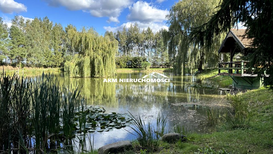 Działka siedliskowa Janowo