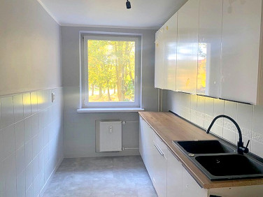 Mieszkanie przy lesie