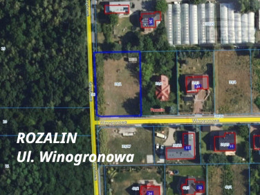 Działka Rozalin