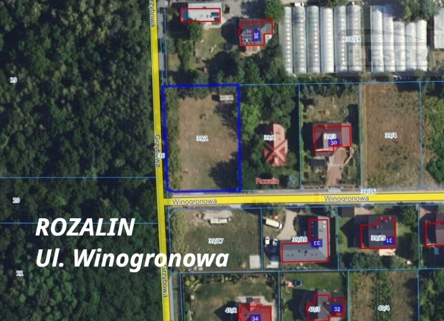 Działka Rozalin