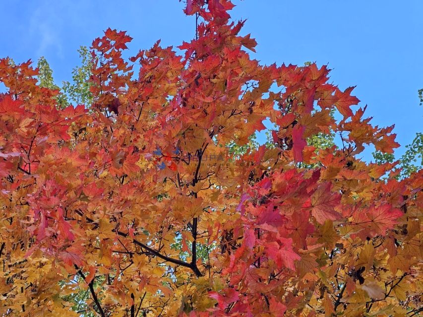 Działka Prace Małe