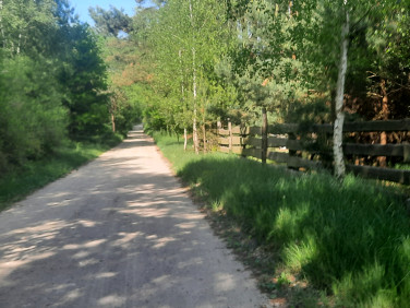 Działka siedliskowa Zajączkowo