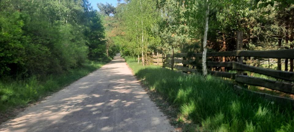 Działka siedliskowa Zajączkowo