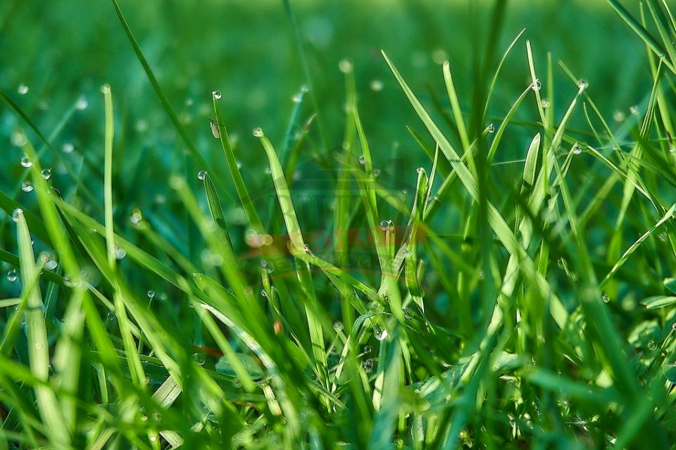 Działka budowlana Schodnia