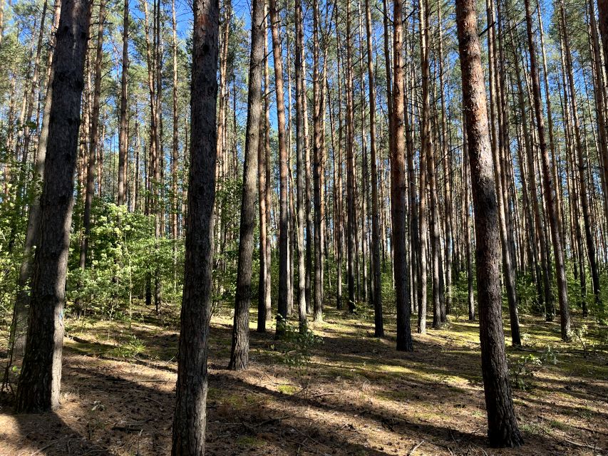 Działka leśna Uhowo