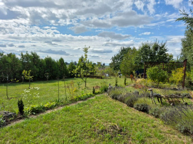 Mieszkanie przy lesie