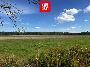 Działka budowlana Siennica