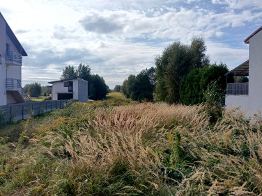 Działka Gęzyn