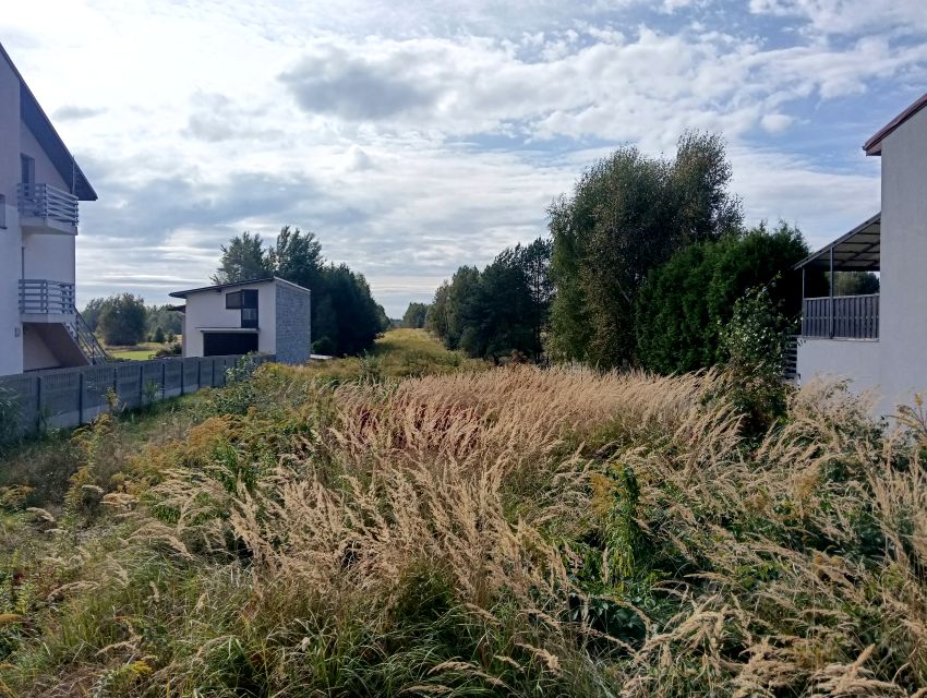 Działka Gęzyn